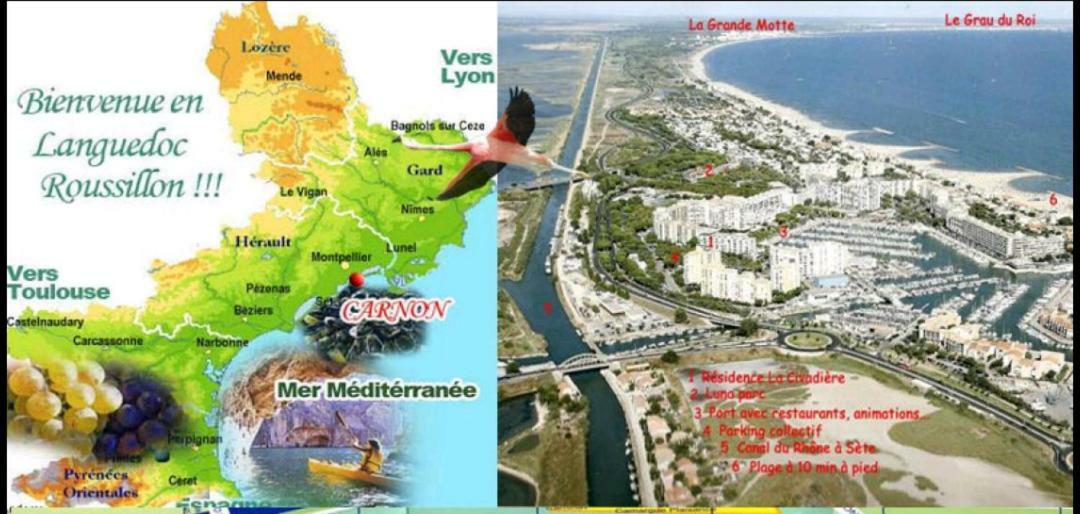 Suite-Junior -Villa Helene - Montpellier Sud - Aeroport- Piscine Privee-2Mn Des Plages Pérols Exteriér fotografie