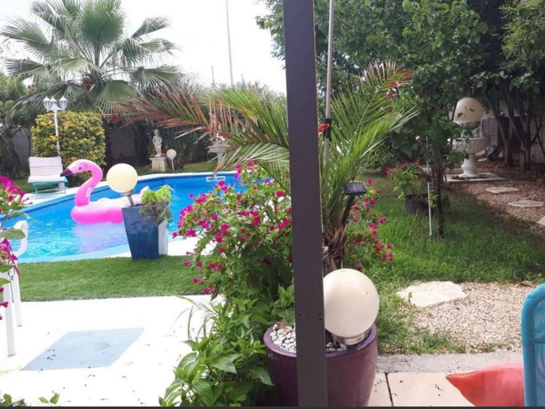 Suite-Junior -Villa Helene - Montpellier Sud - Aeroport- Piscine Privee-2Mn Des Plages Pérols Pokoj fotografie